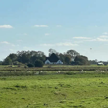 Momke Am Diek Haushaelft A Feriehus